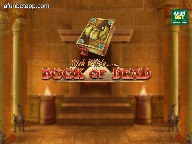 Book of Dead AFUNBET