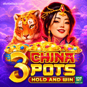 3 China Pots